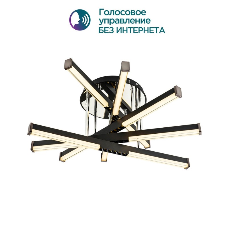 Потолочный светильник MODELIGHT MDL.9371.600CL BK