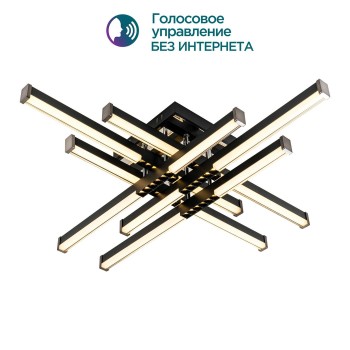 Потолочный светильник MODELIGHT MDL.9376.700CL BK