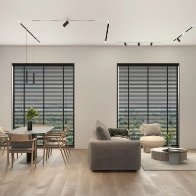 Магнитные трековые системы